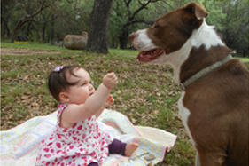 Dogs and Babes