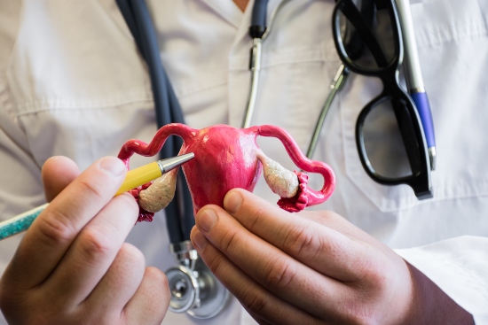 Endometriosis Treatment in Fort Collins & Loveland, CO